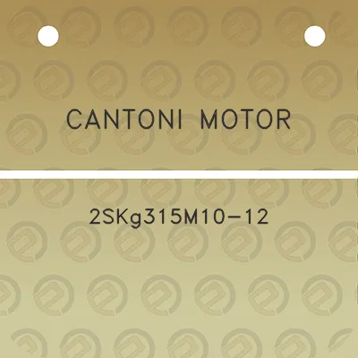 cantoni-motor-2skg315m10-12