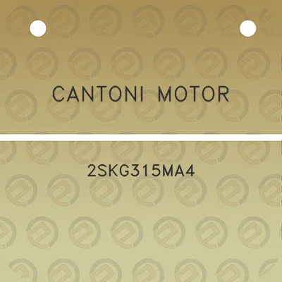 cantoni-motor-2skg315ma4