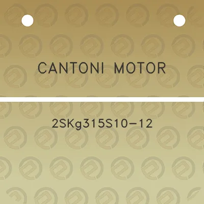 cantoni-motor-2skg315s10-12