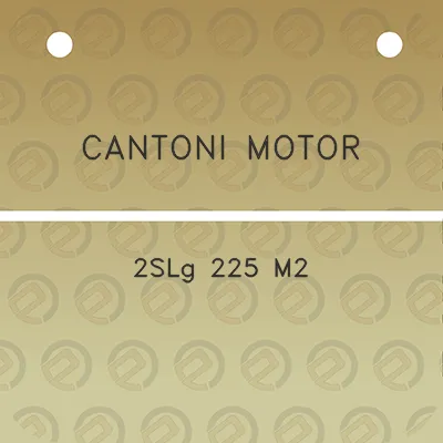 cantoni-motor-2slg-225-m2