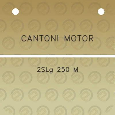 cantoni-motor-2slg-250-m