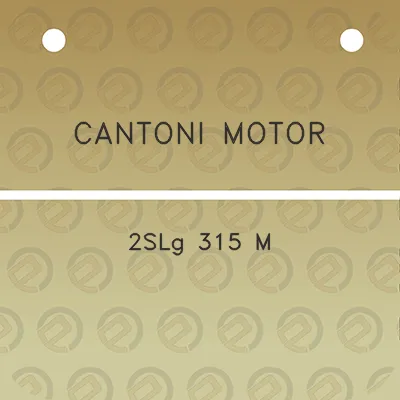 cantoni-motor-2slg-315-m