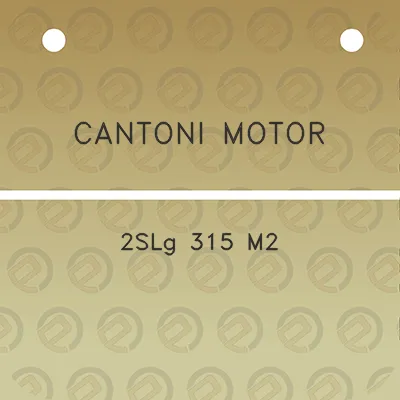 cantoni-motor-2slg-315-m2