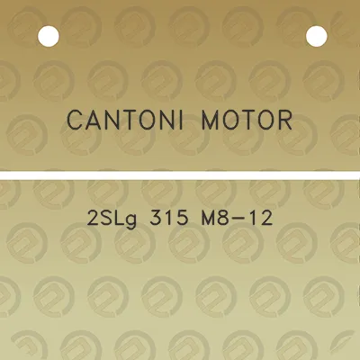 cantoni-motor-2slg-315-m8-12