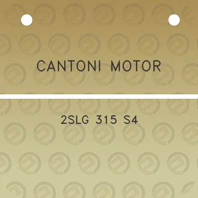 cantoni-motor-2slg-315-s4