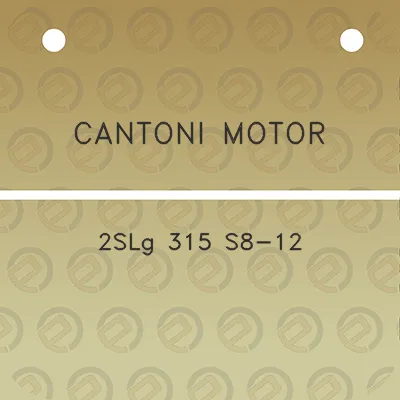 cantoni-motor-2slg-315-s8-12