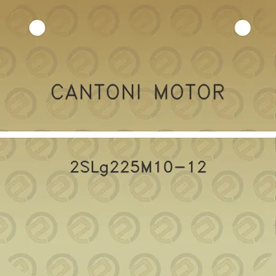 cantoni-motor-2slg225m10-12