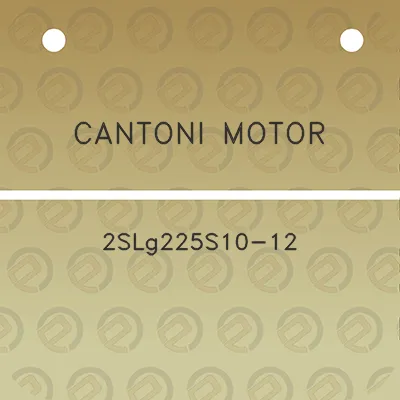 cantoni-motor-2slg225s10-12