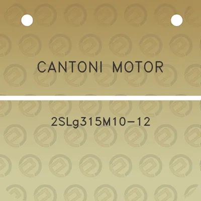 cantoni-motor-2slg315m10-12