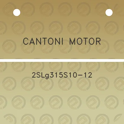 cantoni-motor-2slg315s10-12