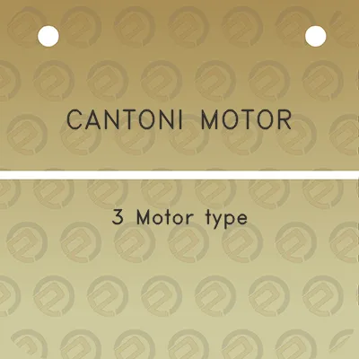 cantoni-motor-3-motor-type