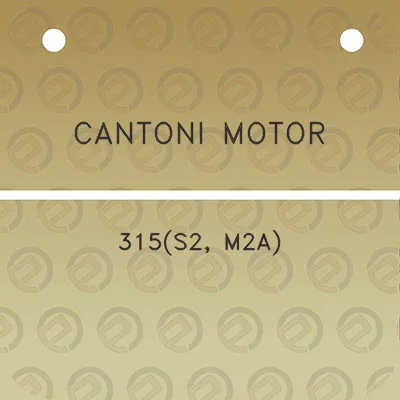 cantoni-motor-315s2-m2a