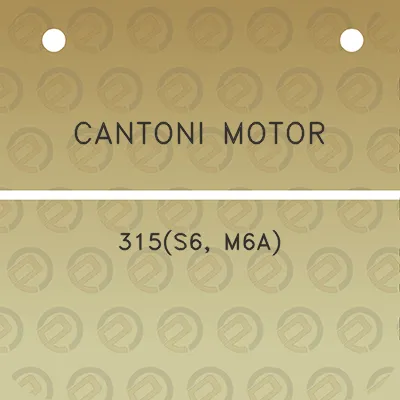 cantoni-motor-315s6-m6a