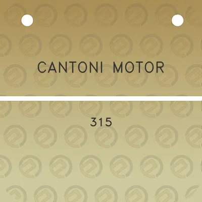 cantoni-motor-315