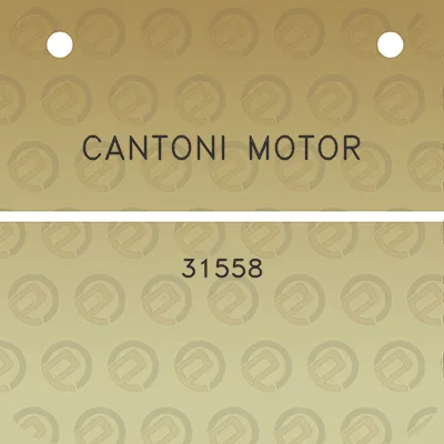 cantoni-motor-31558