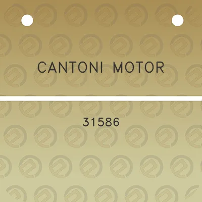 cantoni-motor-31586