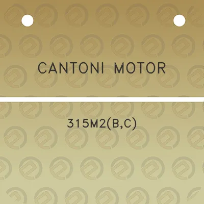 cantoni-motor-315m2bc