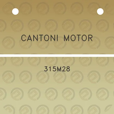 cantoni-motor-315m28