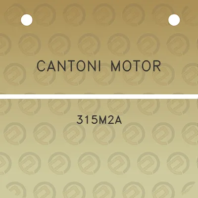 cantoni-motor-315m2a