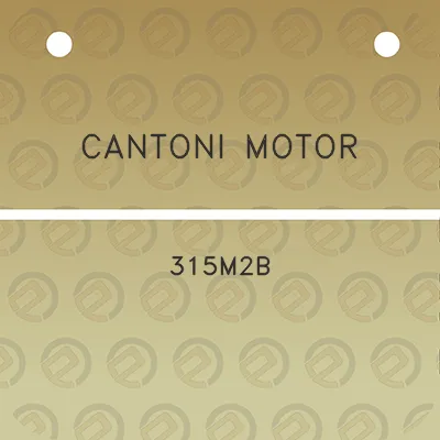 cantoni-motor-315m2b