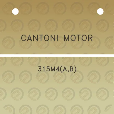 cantoni-motor-315m4ab