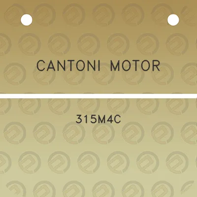 cantoni-motor-315m4c