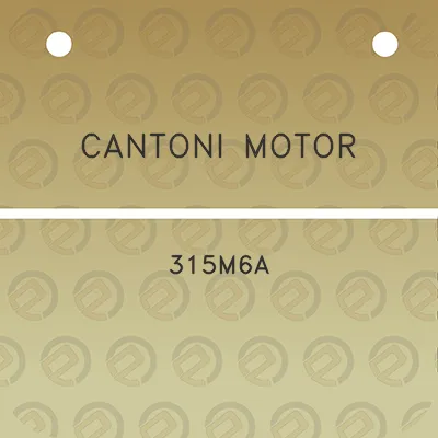 cantoni-motor-315m6a