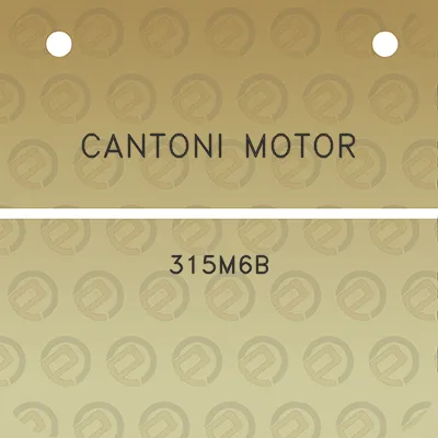 cantoni-motor-315m6b