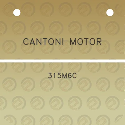 cantoni-motor-315m6c