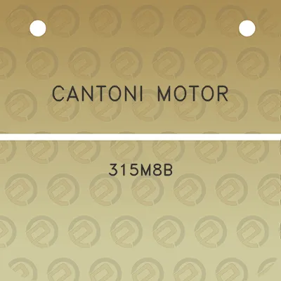 cantoni-motor-315m8b