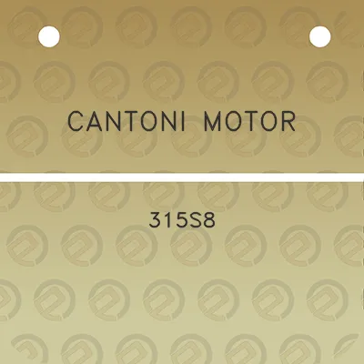 cantoni-motor-315s8