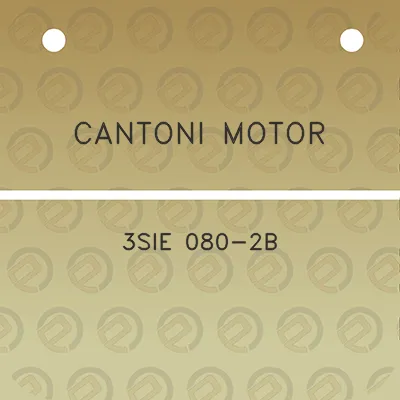 cantoni-motor-3sie-080-2b