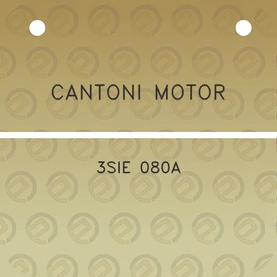 cantoni-motor-3sie-080a