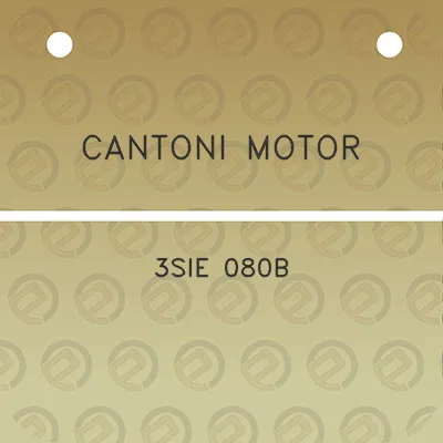 cantoni-motor-3sie-080b