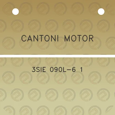 cantoni-motor-3sie-090l-6-1