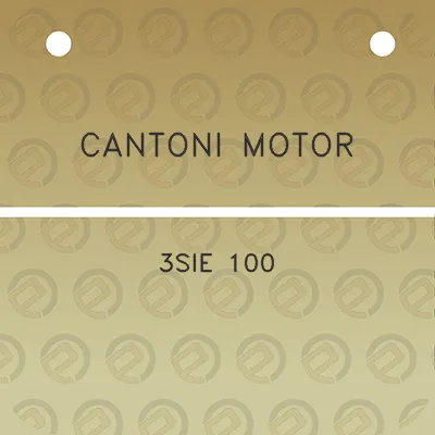 cantoni-motor-3sie-100