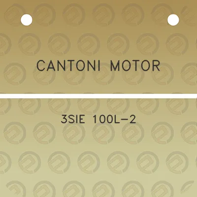 cantoni-motor-3sie-100l-2