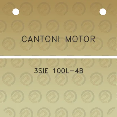 cantoni-motor-3sie-100l-4b