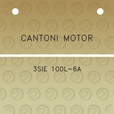 cantoni-motor-3sie-100l-6a