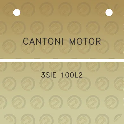 cantoni-motor-3sie-100l2