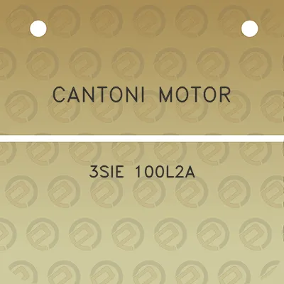 cantoni-motor-3sie-100l2a