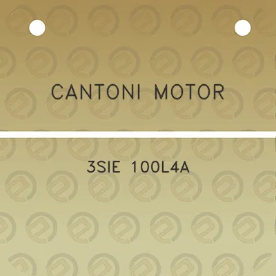 cantoni-motor-3sie-100l4a