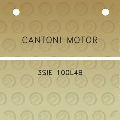 cantoni-motor-3sie-100l4b