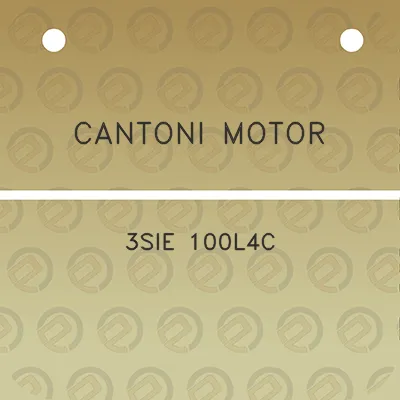 cantoni-motor-3sie-100l4c