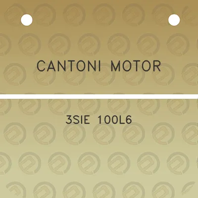 cantoni-motor-3sie-100l6