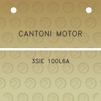 cantoni-motor-3sie-100l6a