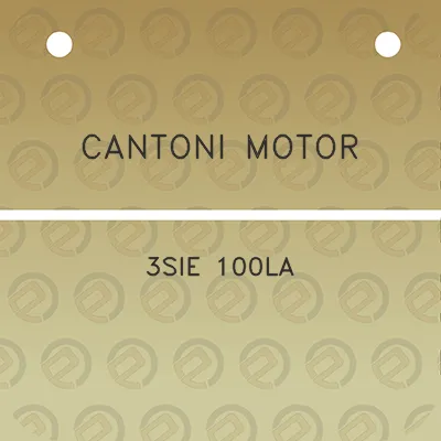 cantoni-motor-3sie-100la