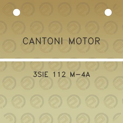 cantoni-motor-3sie-112-m-4a