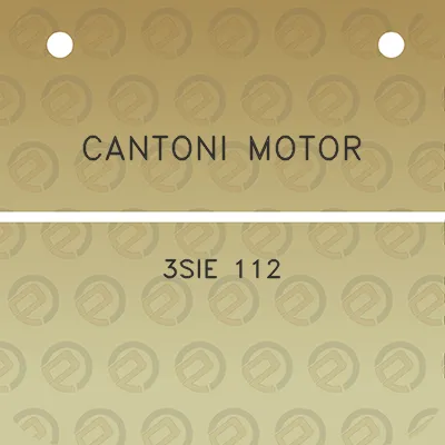 cantoni-motor-3sie-112