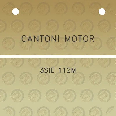 cantoni-motor-3sie-112m